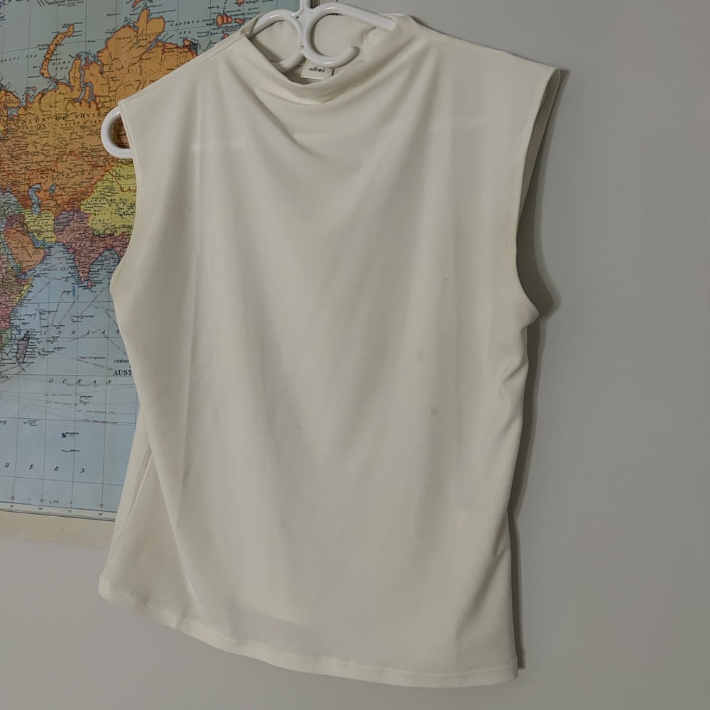 Aritzia botanist top